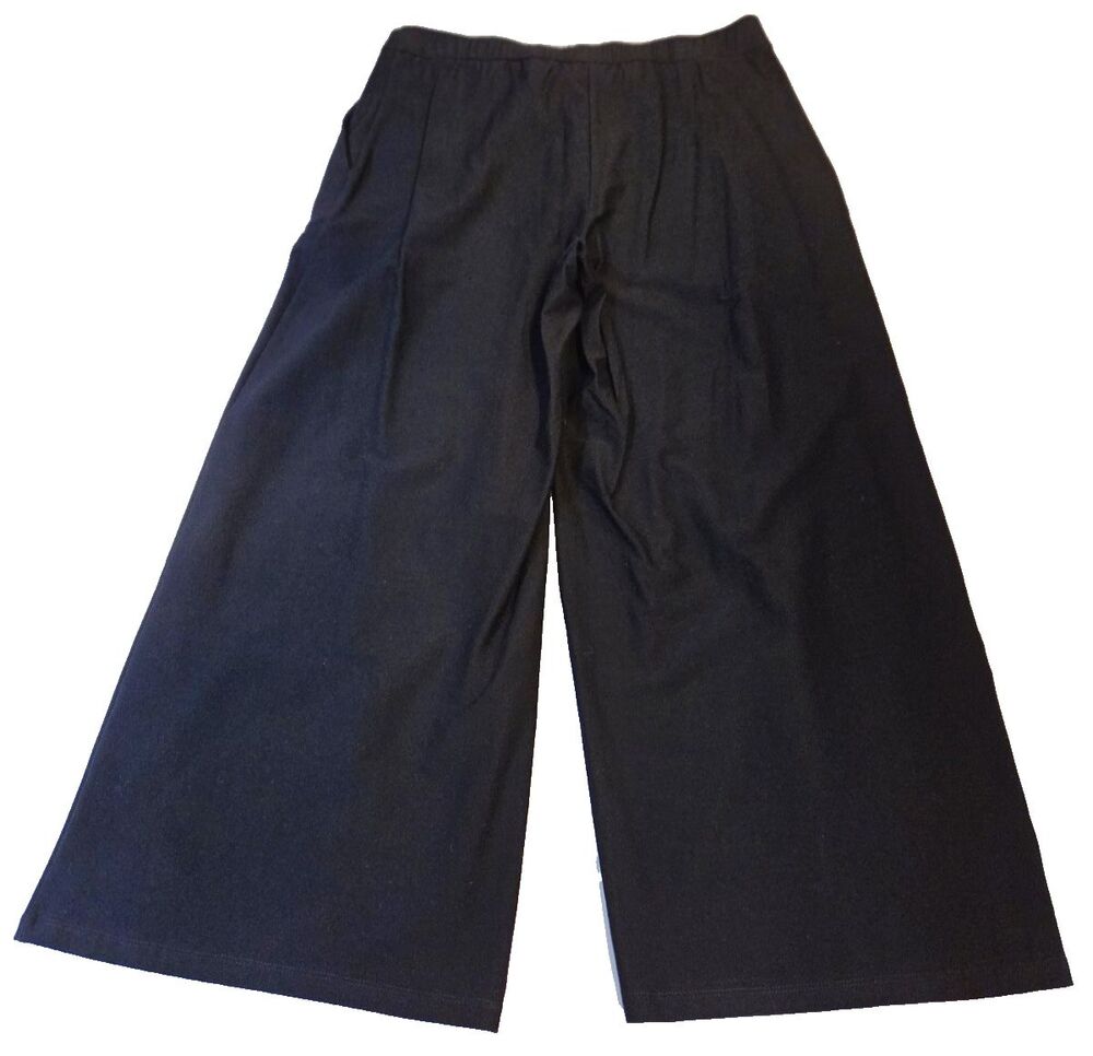 NWT Eileen Fisher Black Wide Leg Ankle Pants 10 Stretch Crepe Quiet Luxury - Picture 2 of 9